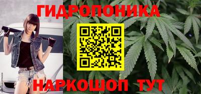 прущие крисы Камышлов