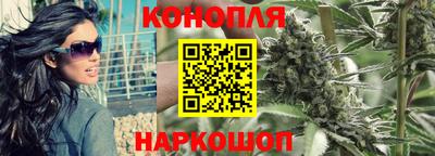 прущие крисы Камышлов