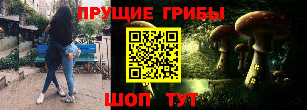 Лесозаводск  даркнет сайт  Псилоцибиновые грибы мицелий  Вход с VPN  Галлюциногенные грибы мухоморы 